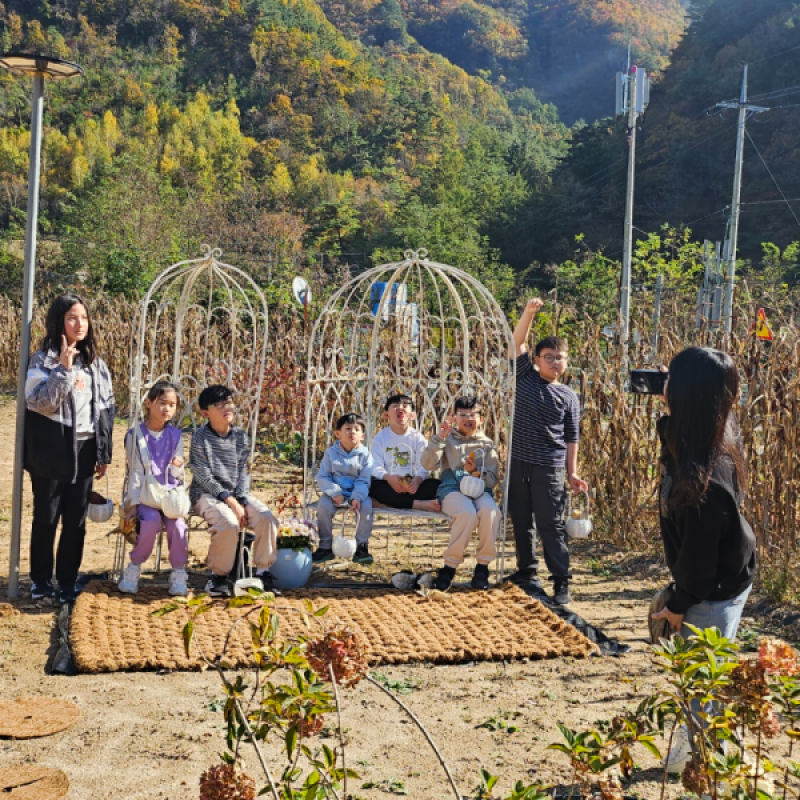 쉼팩토리,정선 쉼팩토리 농장 그라운딩 산책 꽃 약초 족욕 건강차 전통공예 체험