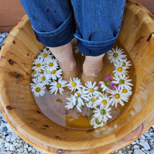 정선 쉼팩토리 농장 그라운딩 산책 꽃 약초 족욕 건강차 전통공예 체험